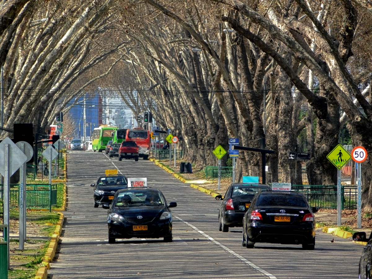 Avenida principal con trfico incluido jajjajjajja