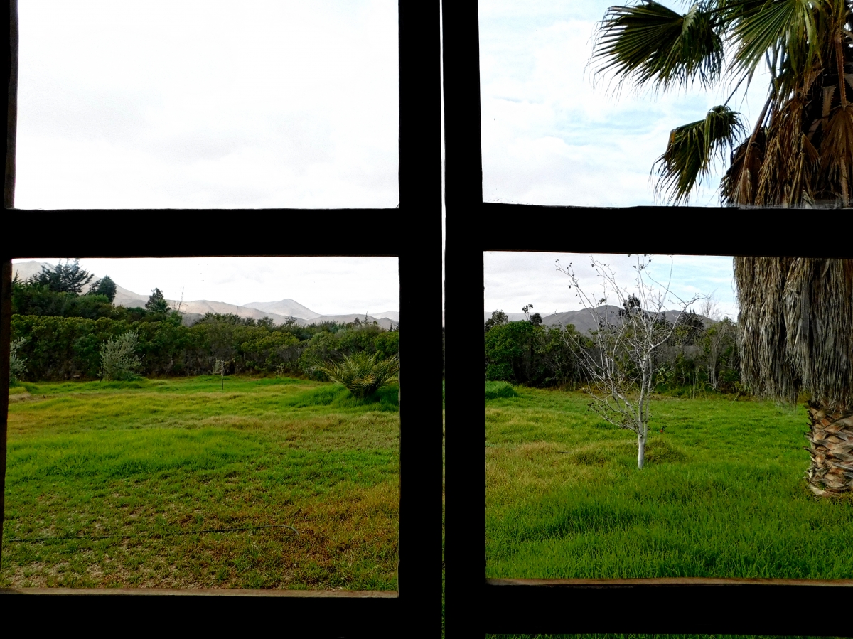 La ventana cerrada mostrando la naturaleza del lugar