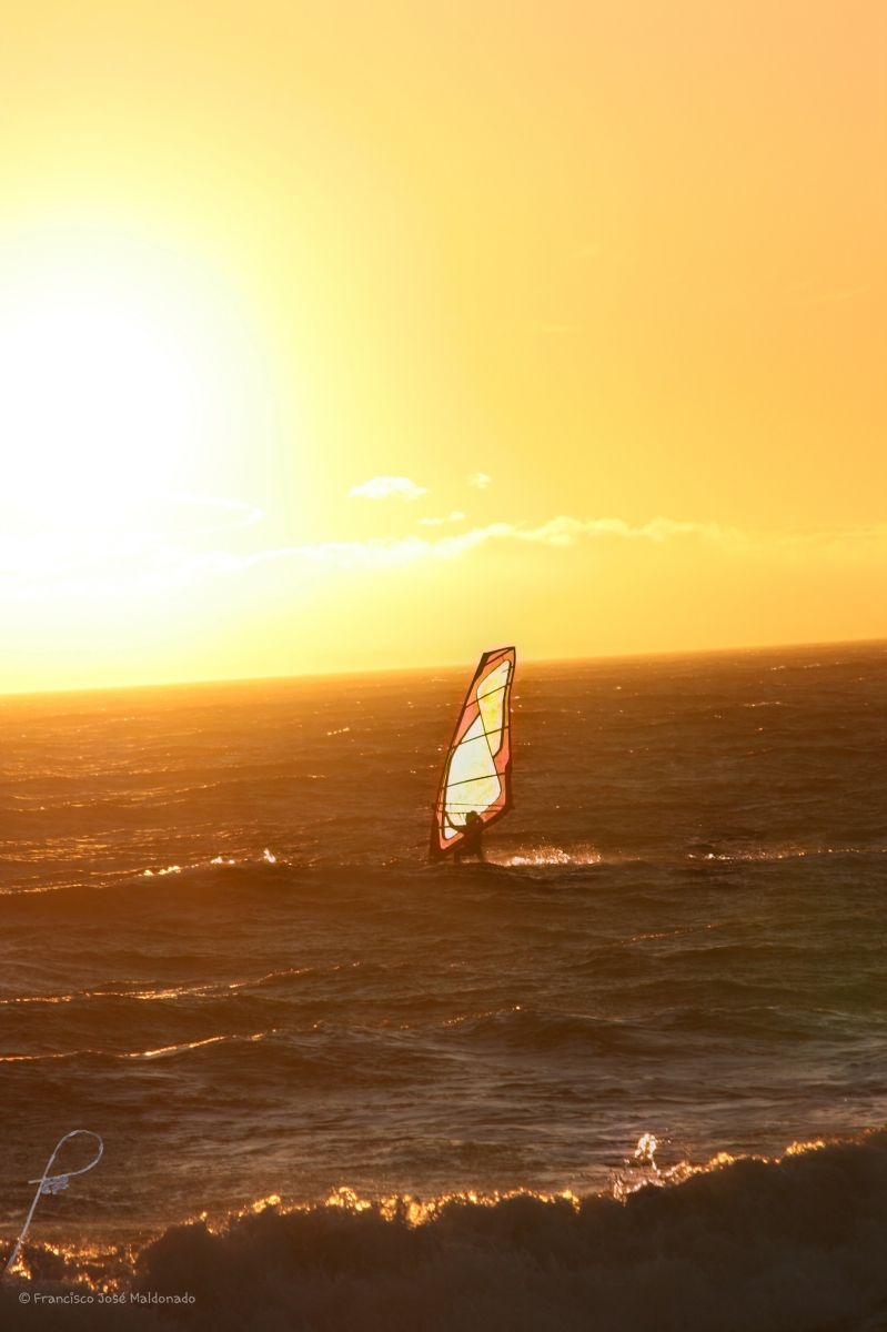 BAILANDO CON EL VIENTO