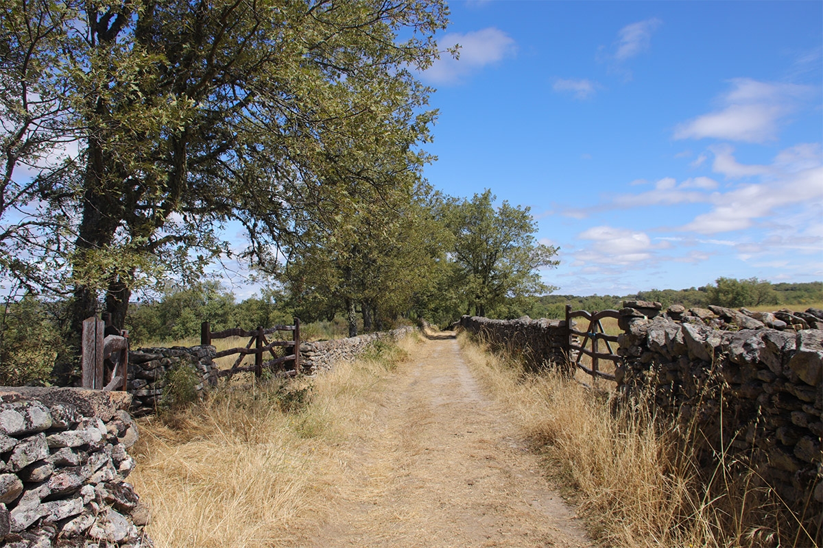 camino Castro de Las Merchanas