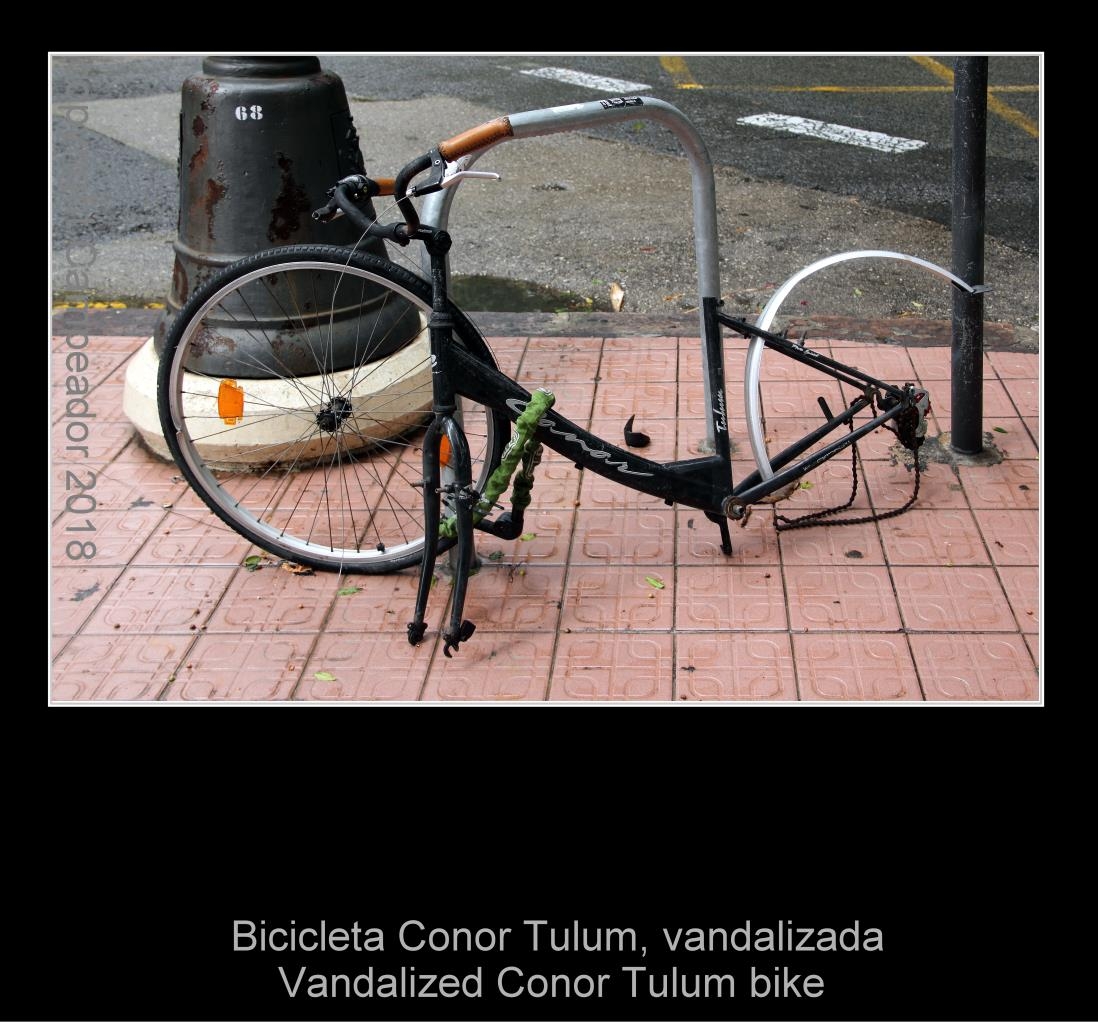 Vandalized Conor Tulum bike  -  Bicicleta Conor Tulum, vandalizada.  Photography by Campeador.