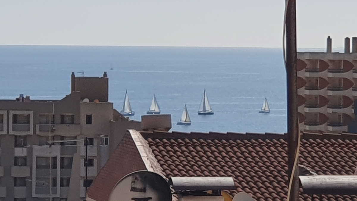 Regatas desde la ventana