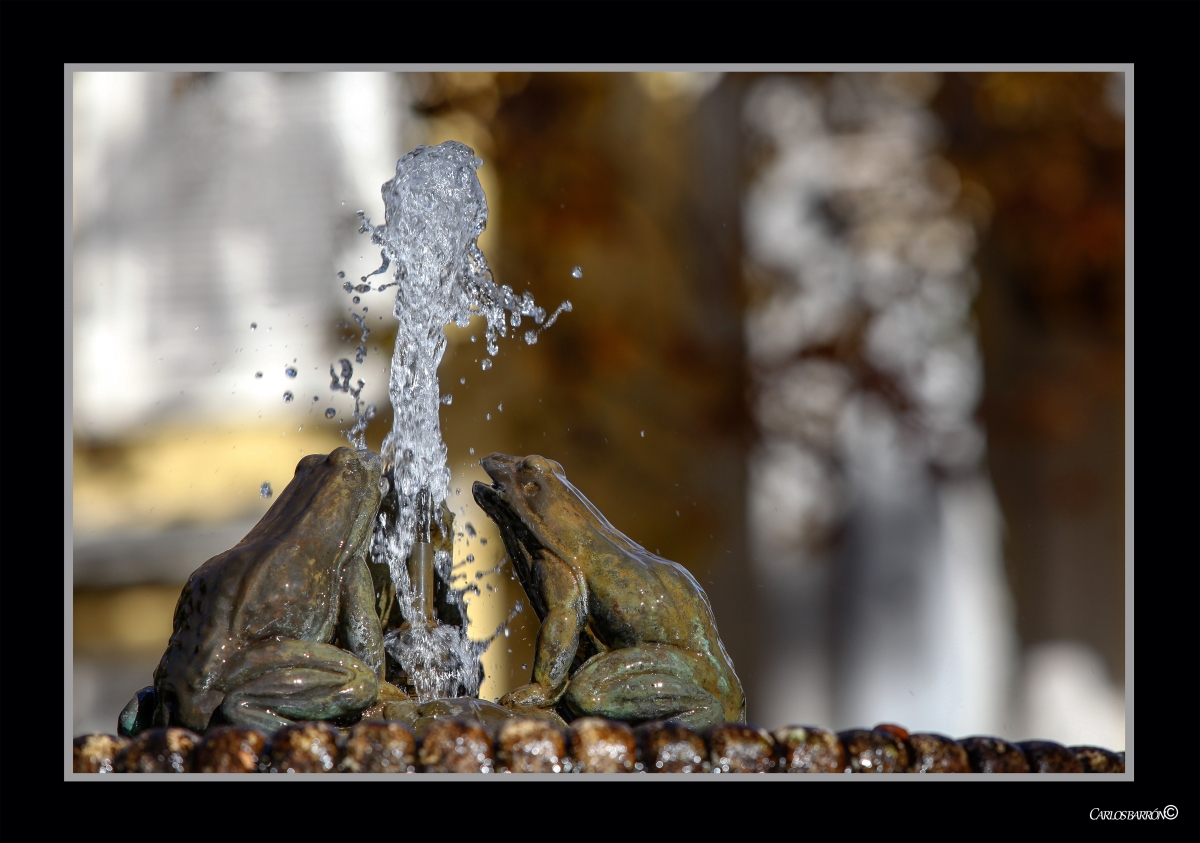 LA FUENTE DE LAS TRES RANAS