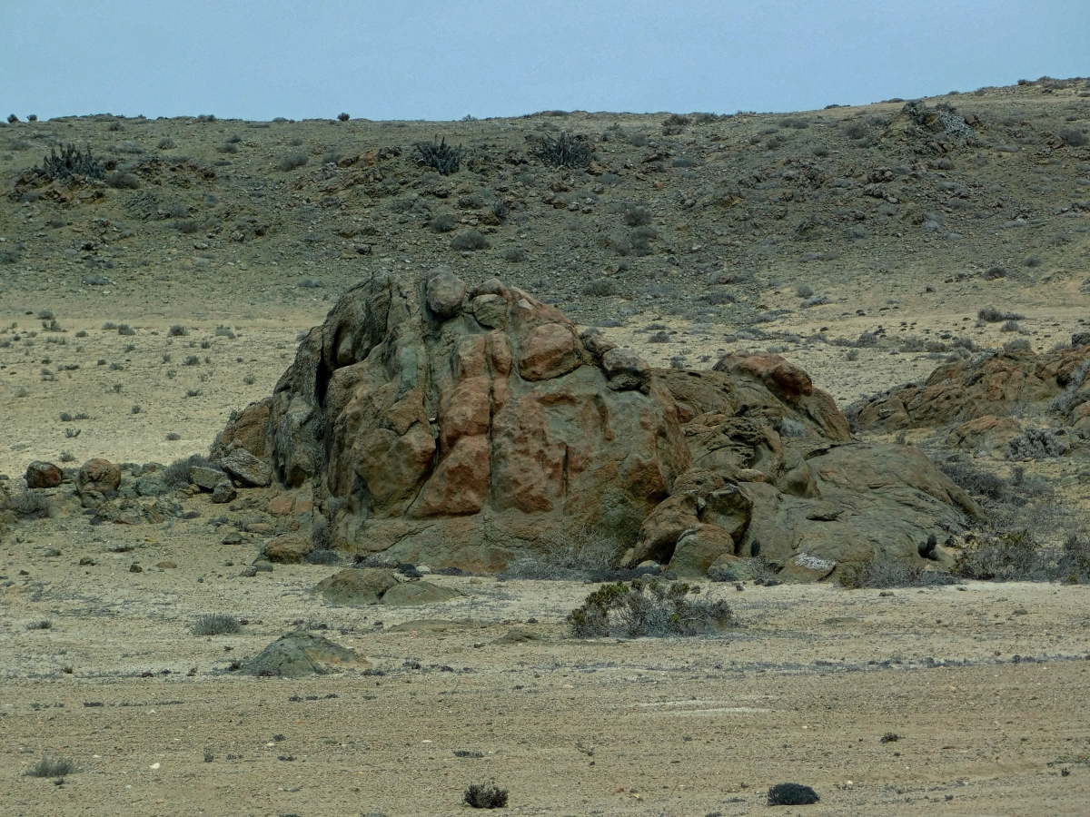 Paisaje en el camino