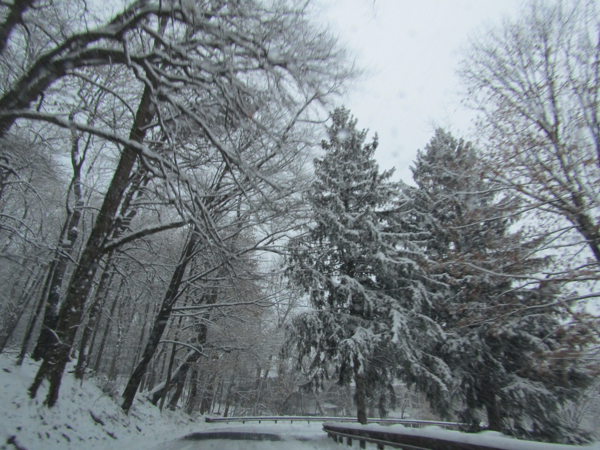 CALLES NEVADAS