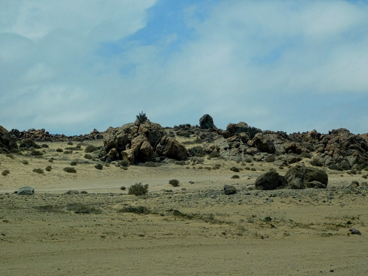 Otro singular paisaje encontrado en el camino