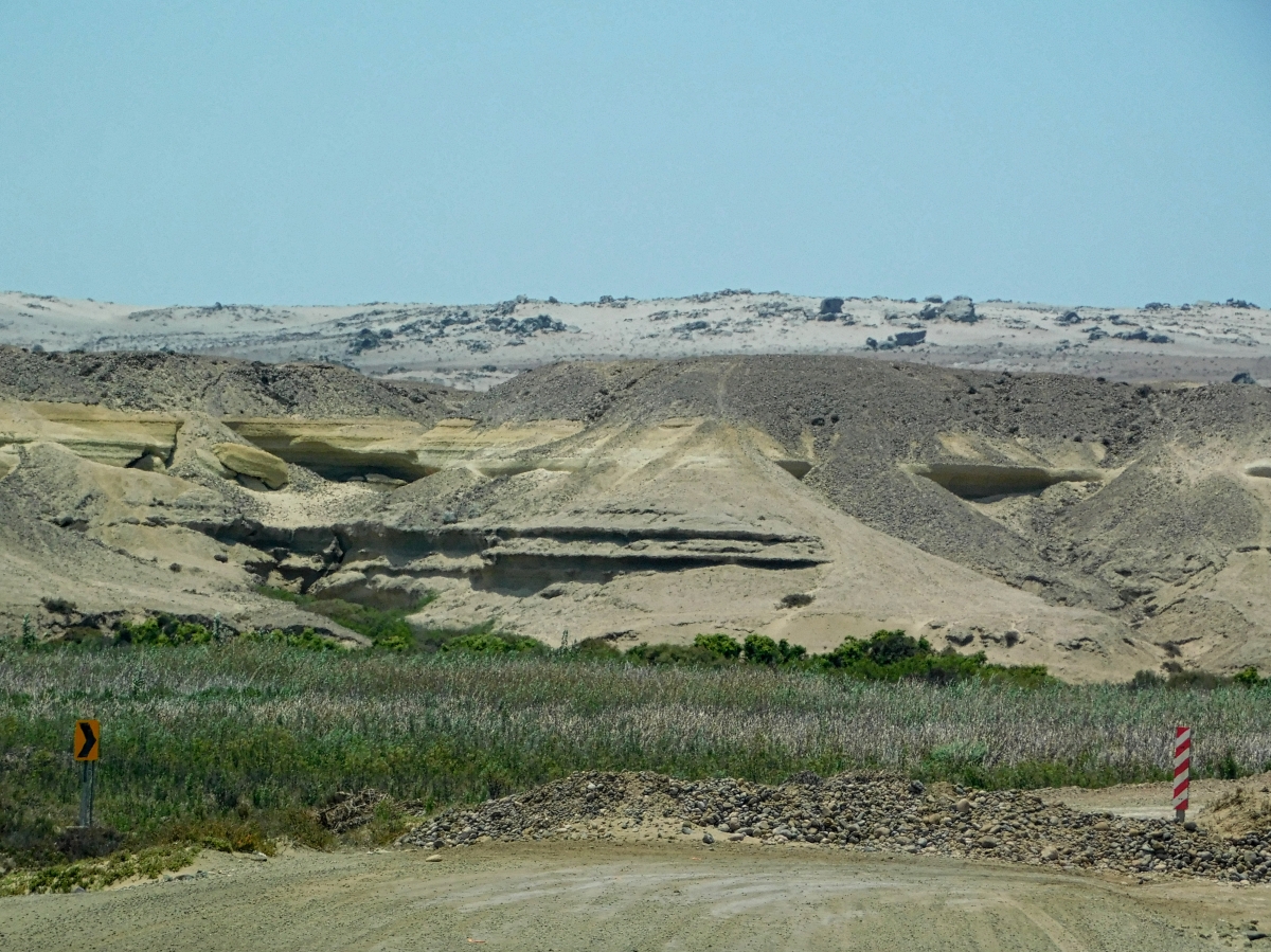Otra vista del lugar mostrando el humedal del ro Copiap