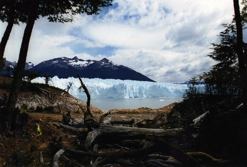 Glaciar Perito Moreno