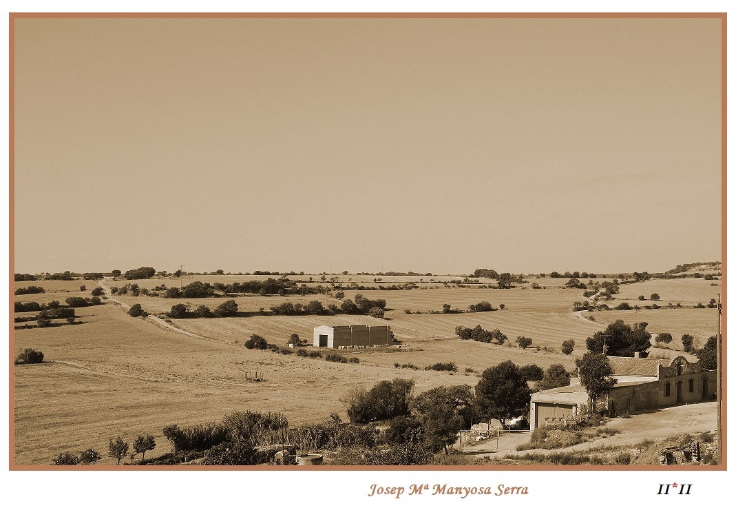 Vistes de la Segarra (Lleida)