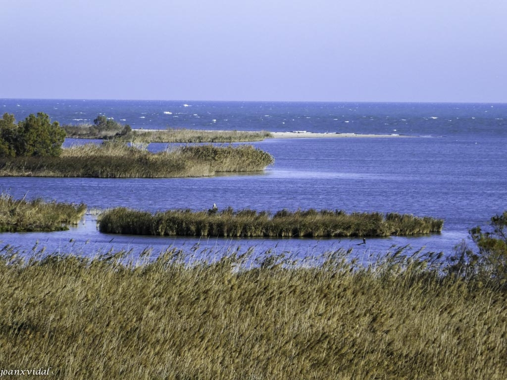 DESEMBOCADURA DEL DELTA