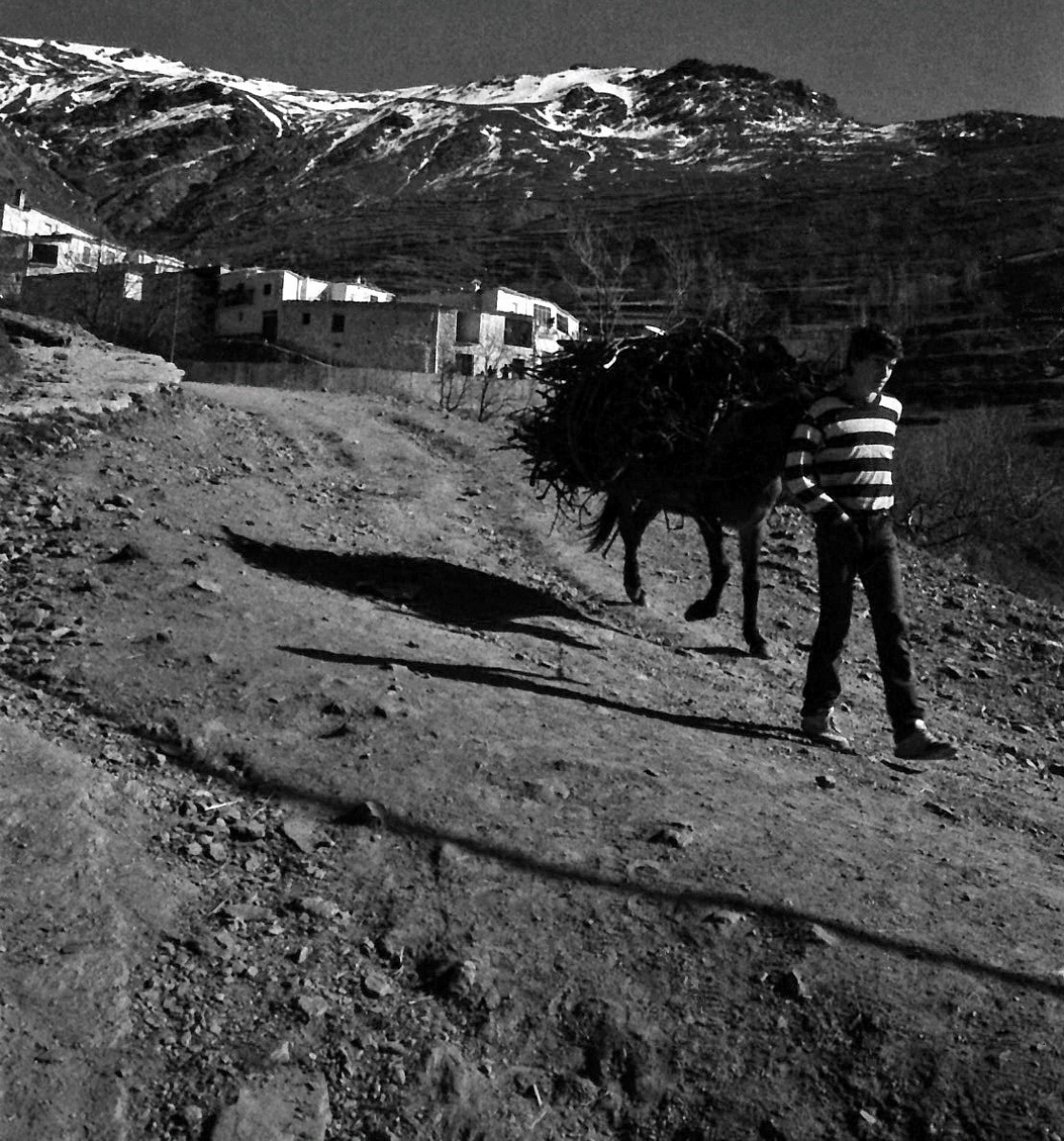 Alpujarra invernal 2