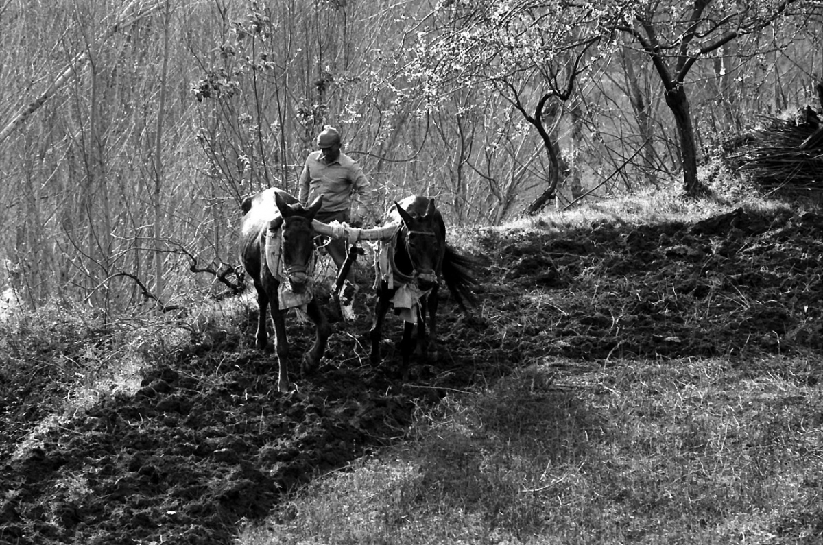 Alpujarra invernal 3