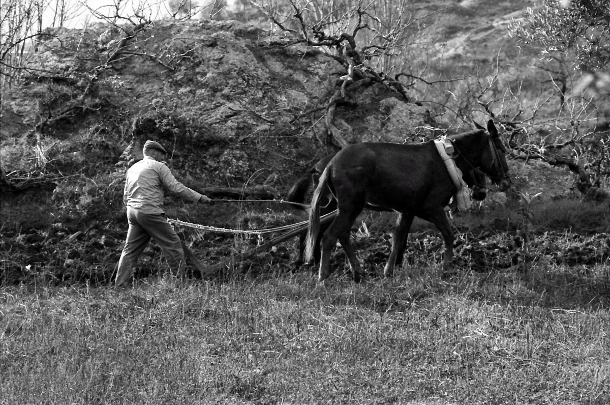 Alpujarra invernal 5