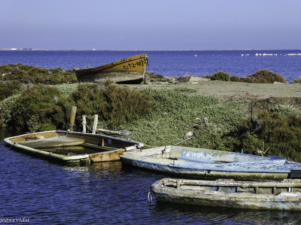 DELTA DE L\'EBRE