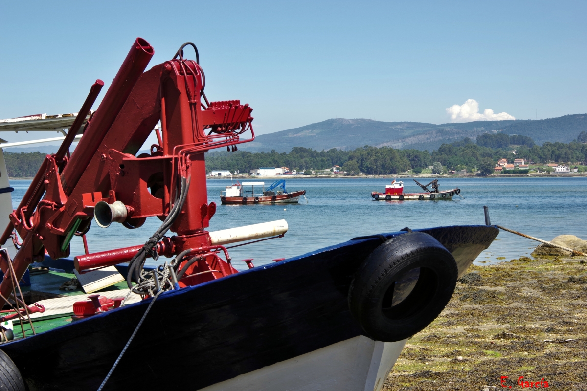 Marina de La Toja II