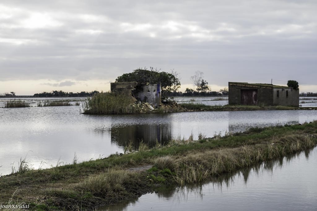 DELTA DE L\'EBRE