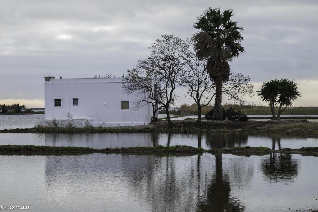 DELTE DE L\'EBRE