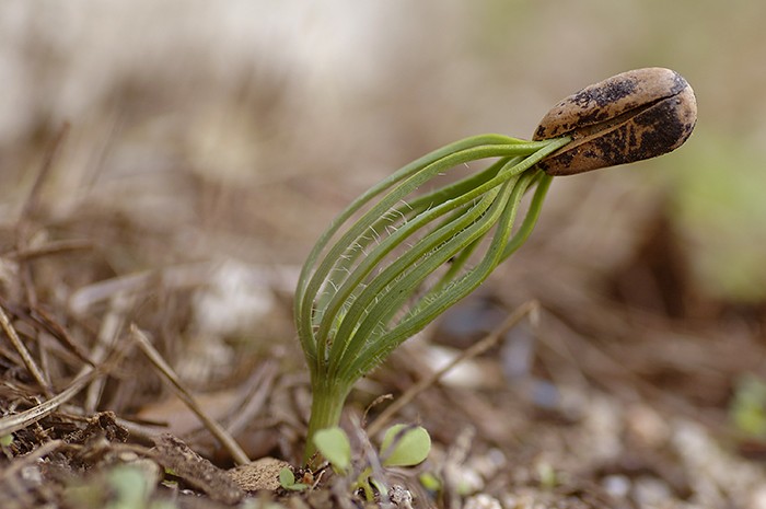 El ciclo de la Naturaleza