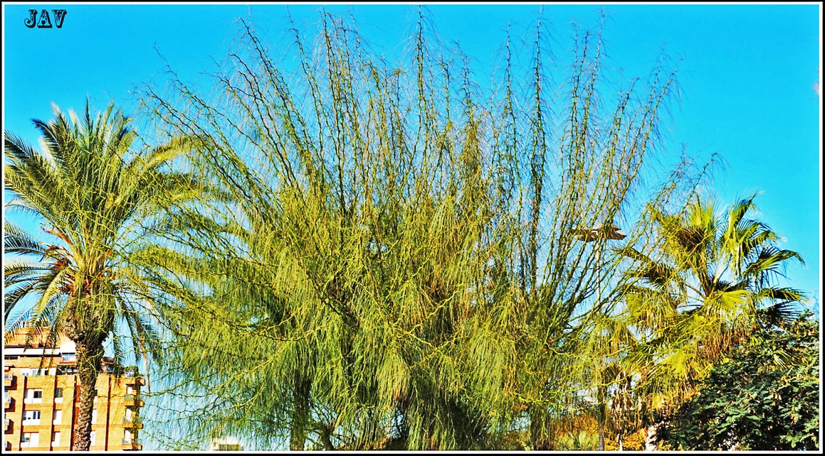 Verde y azul