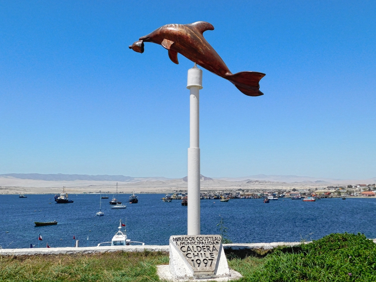 Un recuerdo a la visita de Cousteau al puerto