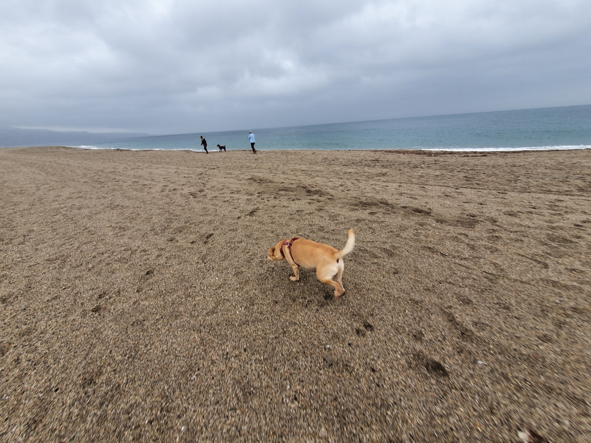 Rambo tambin quiere acercarse al Mar