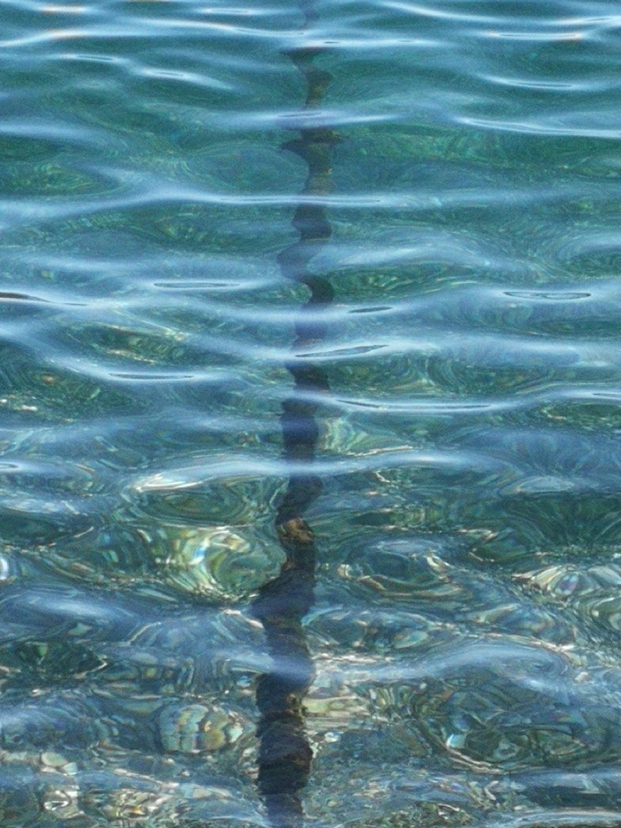 Transparencia del Mar Mediterrneo