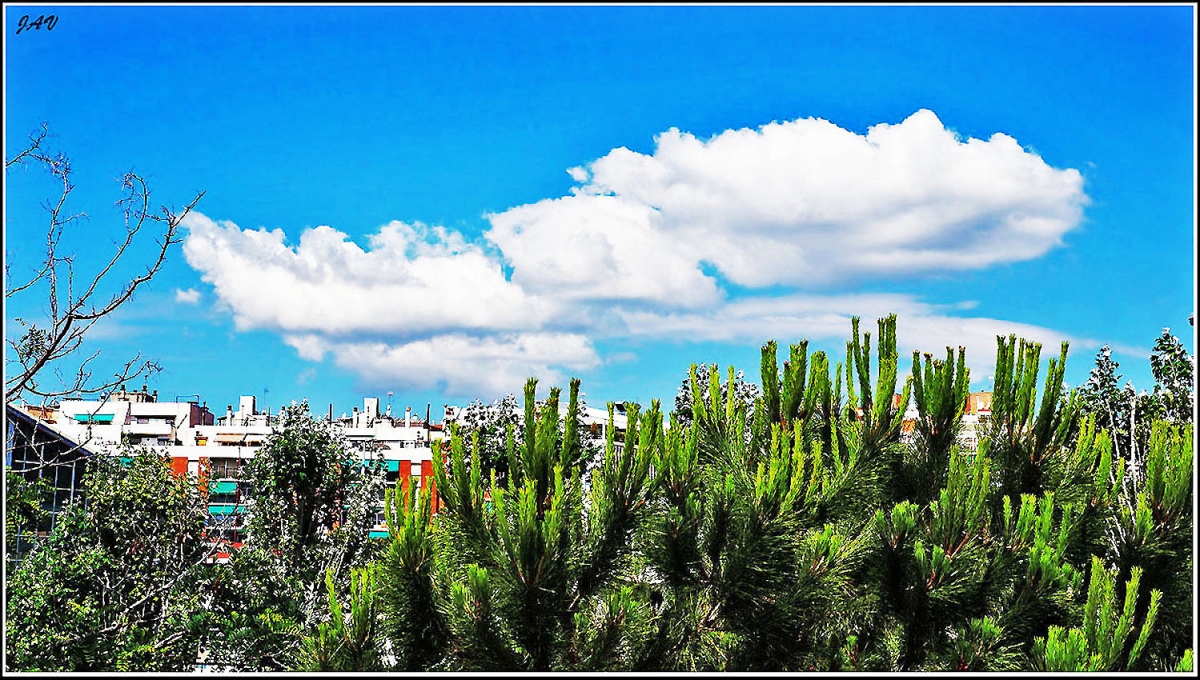 Una nube.