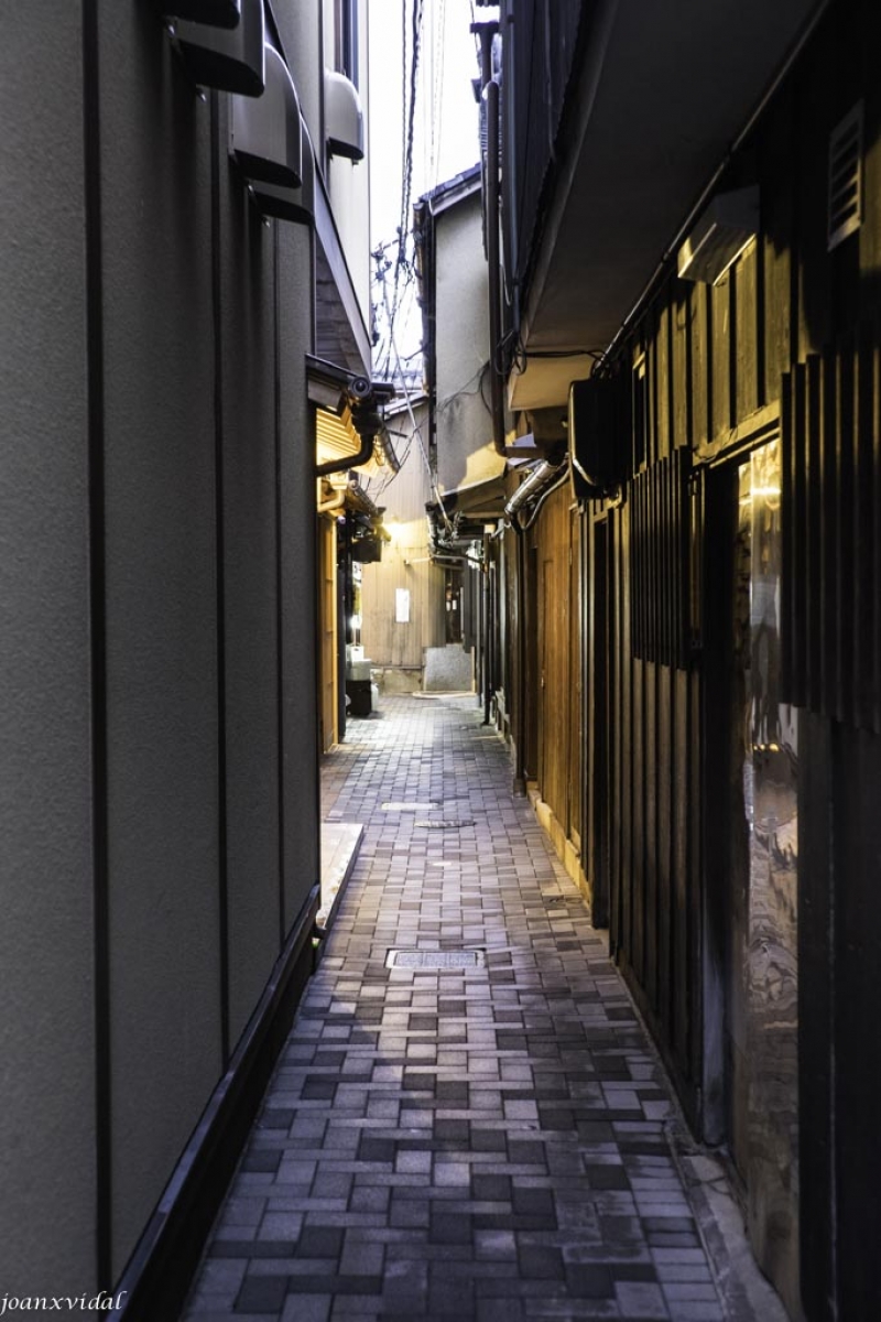 CARRER DE LES GEISHAS