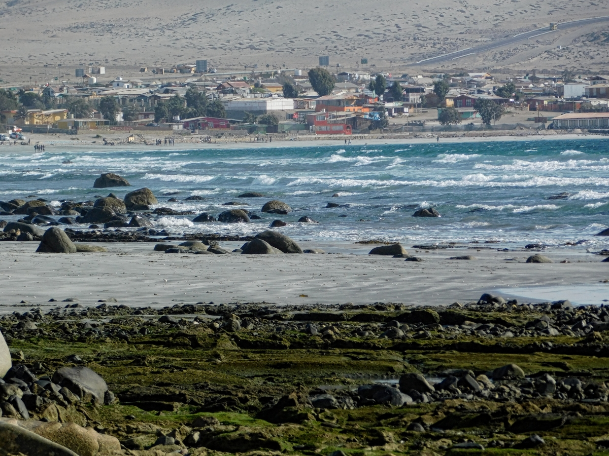 paisajes de flamenco