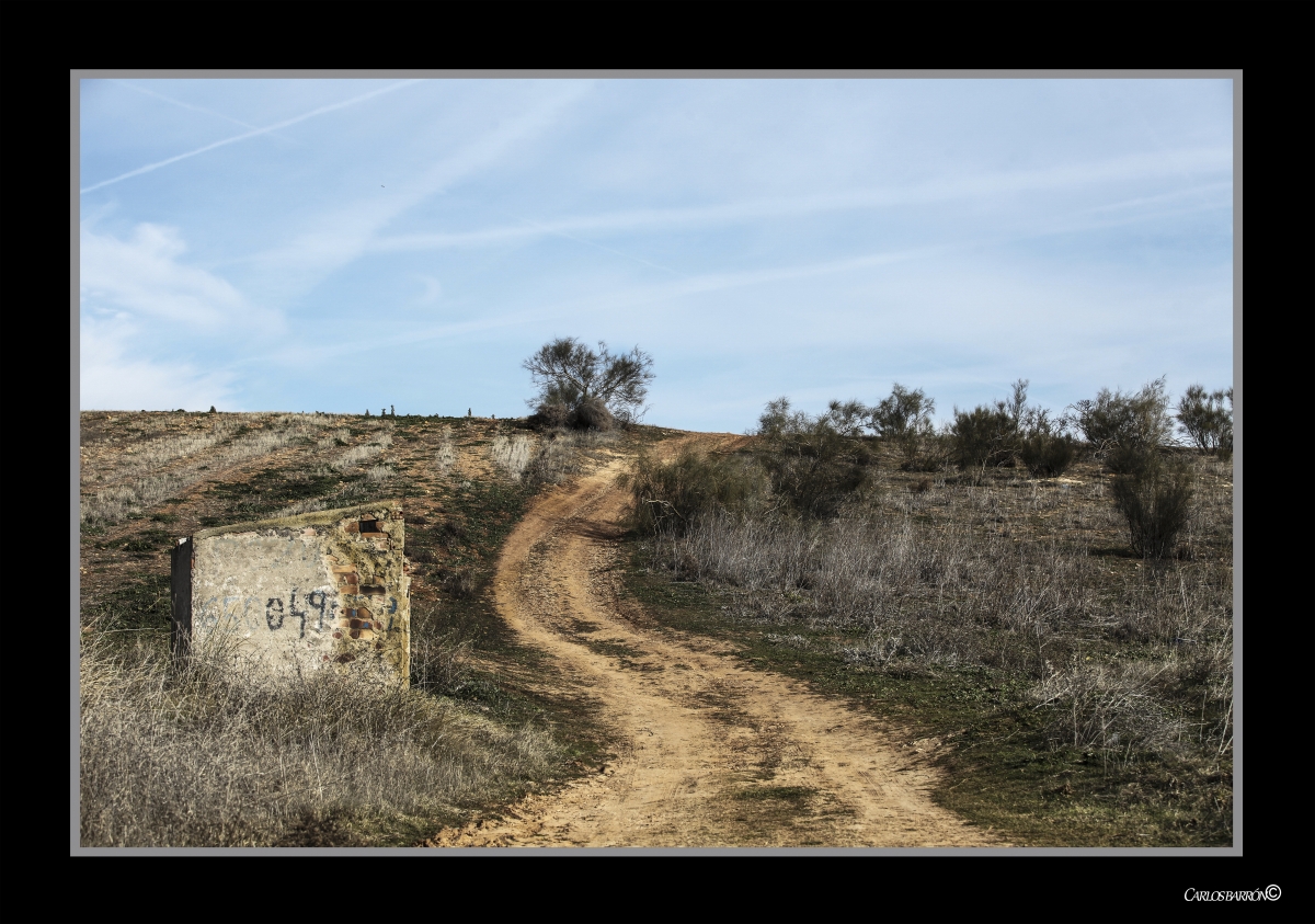 EL SENDERO RECURRENTE