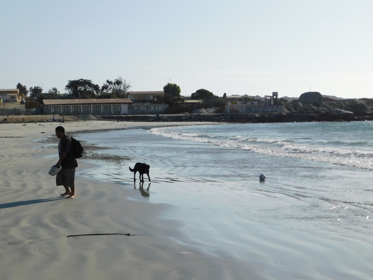 Jugando con la mascota en la orilla de la playa