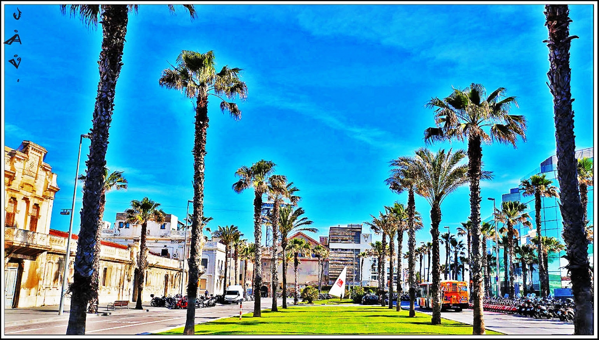 Calle de la circunvalacin.