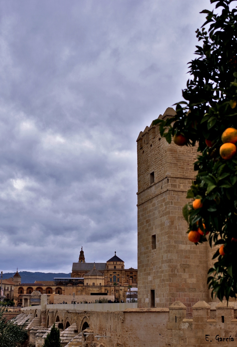 Paseando por la Mezquita II