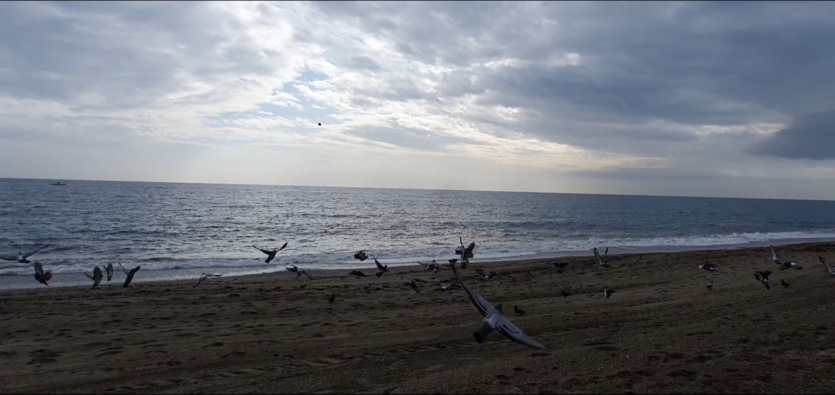 De la arena de la playa un vuelo sin bicicletas hacia el cielo 1