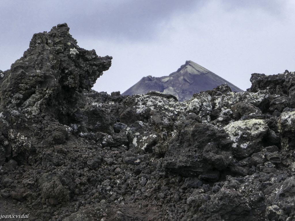 CAMPS DE LAVA