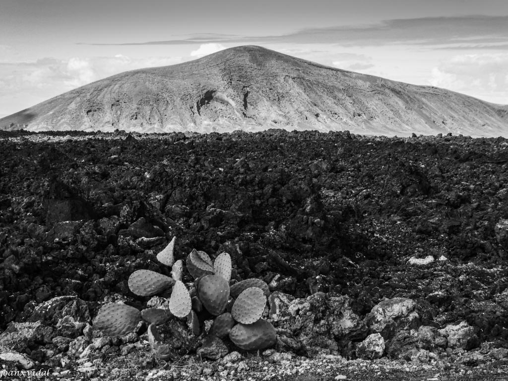 PAISAJE DE LAVA