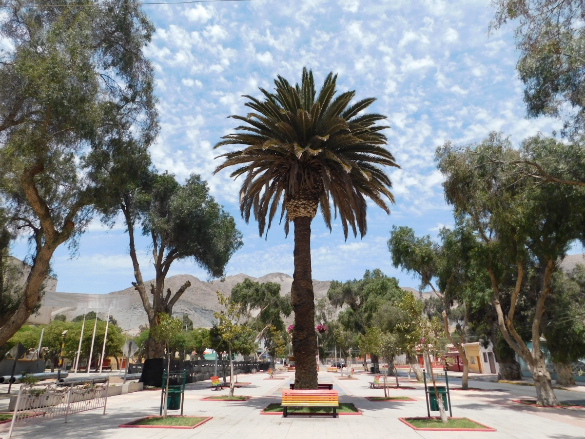 Paisaje de la alameda de Copiapo