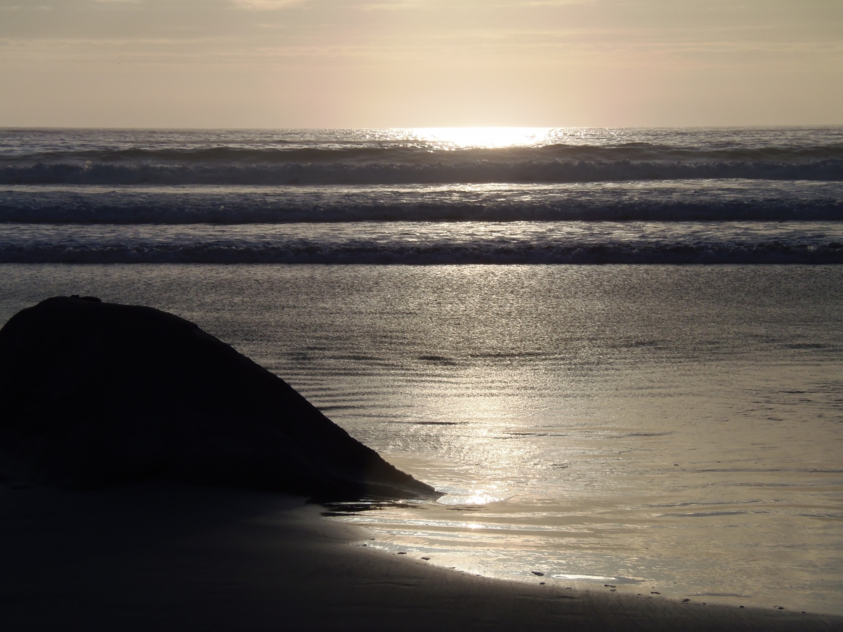 Paisaje de la playa de Flamenco