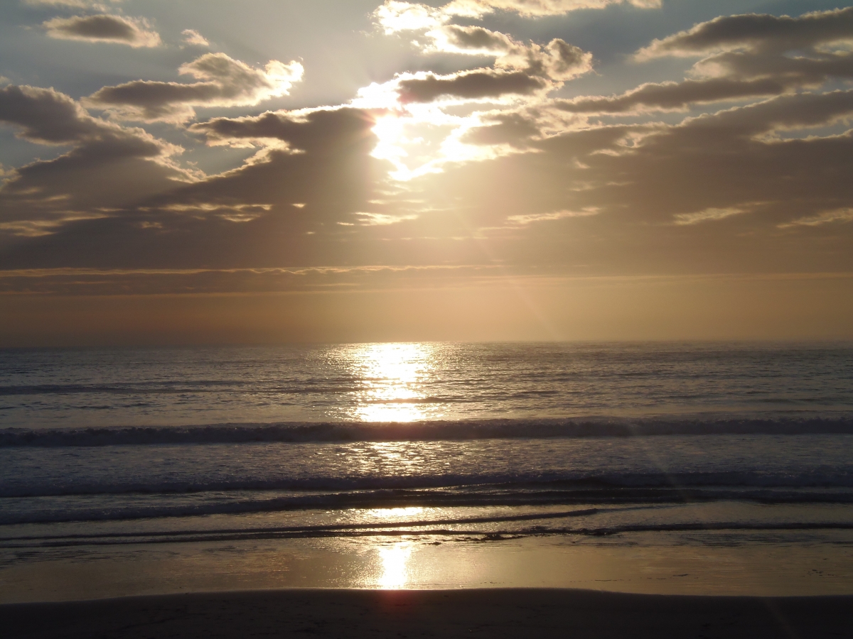 Paisaje de la playa de Flamenco