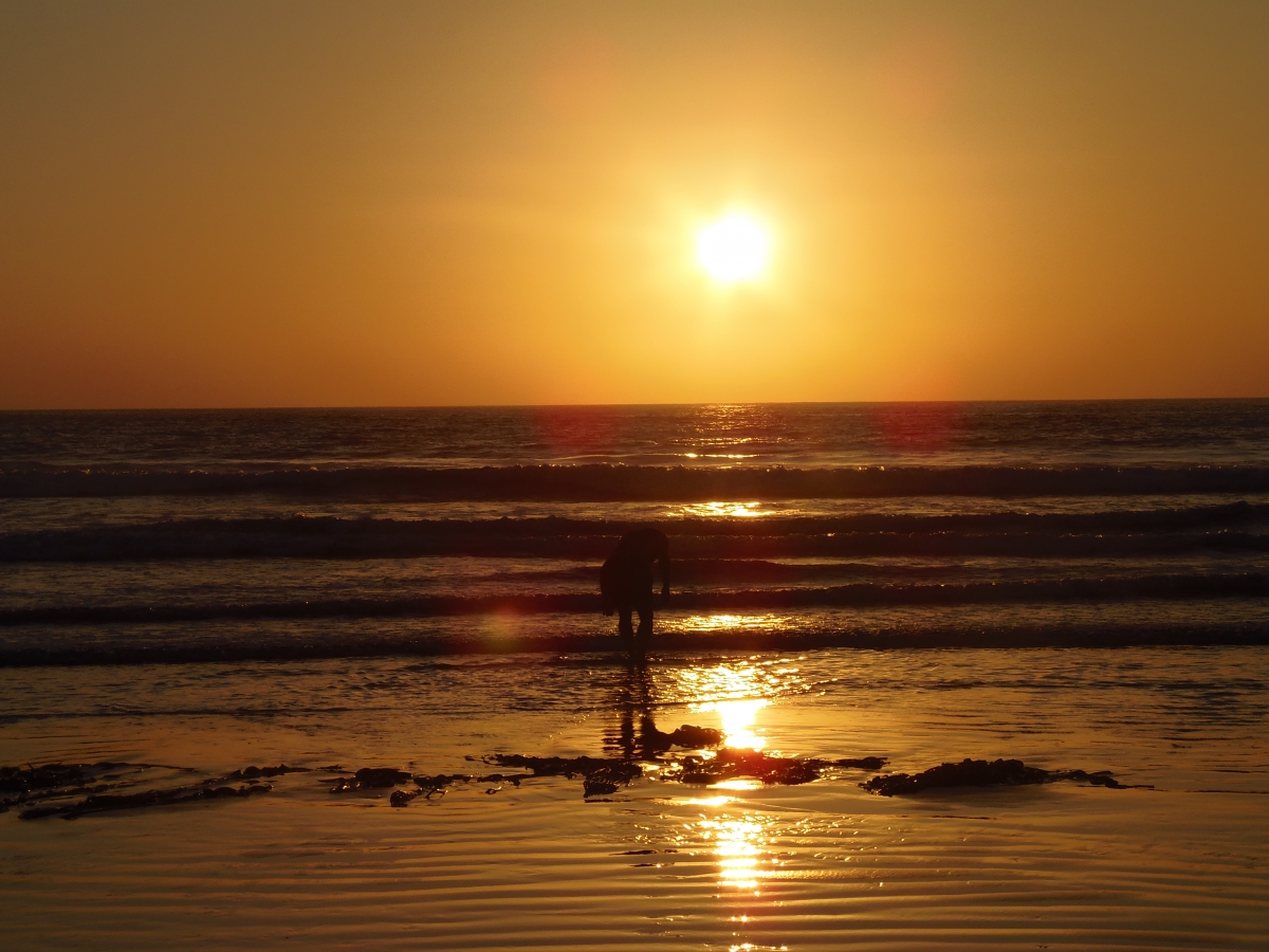 Paisaje de la playa de Flamenco