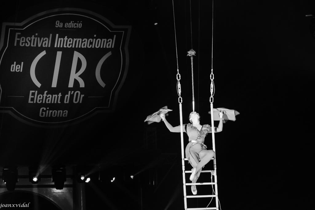 FESTIVAL DEL CIRC