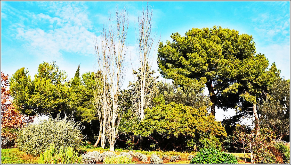 Parc de Montjuc. 88