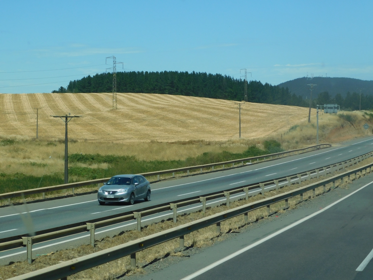 En el camino nos encontramos con este campo que ya fue trabajado para as no perder la cosecha con las lluvias