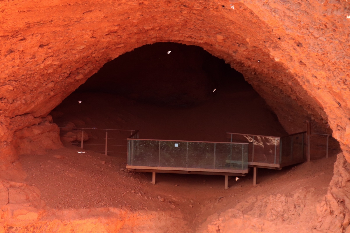 Aberturas y cuevas de las mdulas