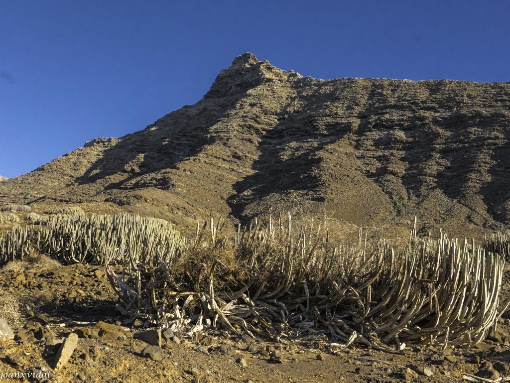 SIERRA DE JANDIA