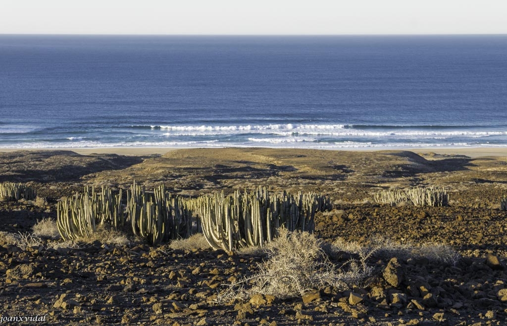 PLAYA DE JANDA