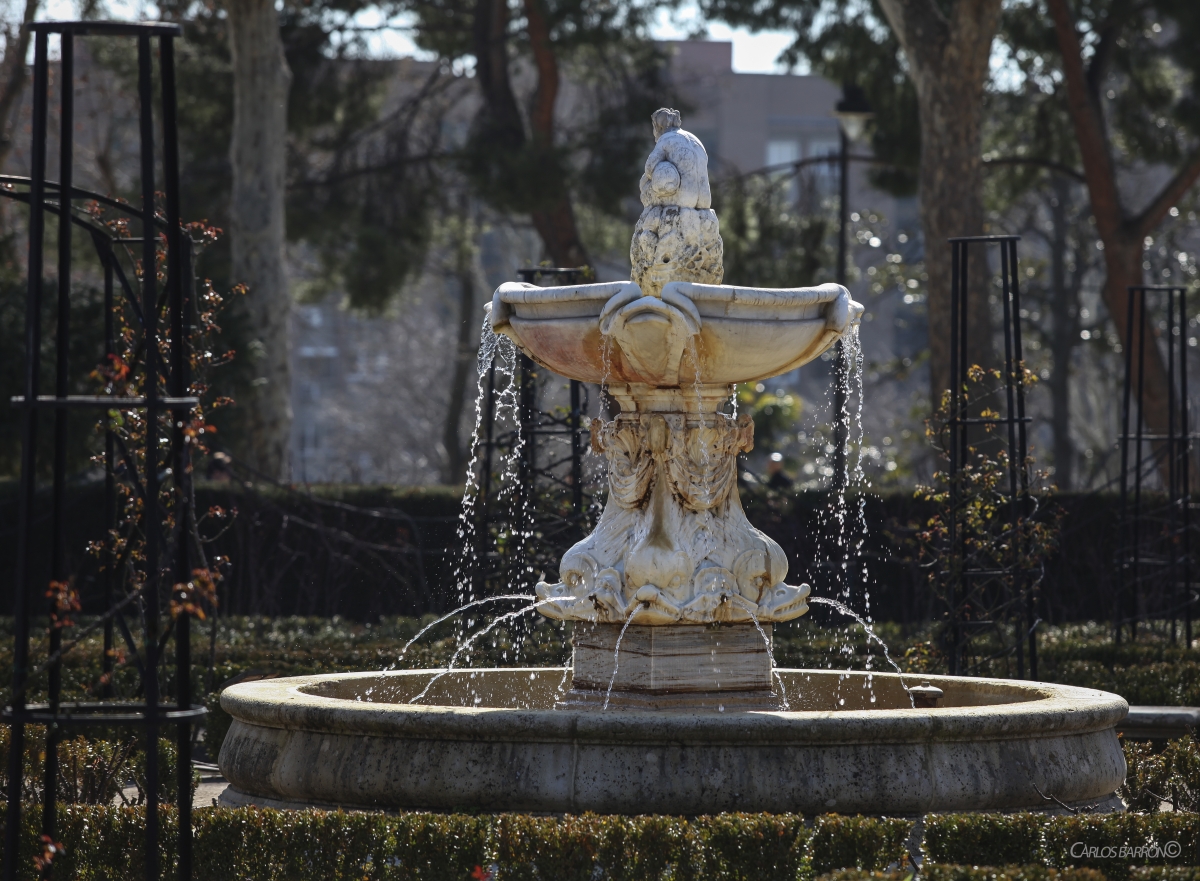 LAS PRECIOSAS FUENTES DE LA ROSALEDA DEL RETIRO