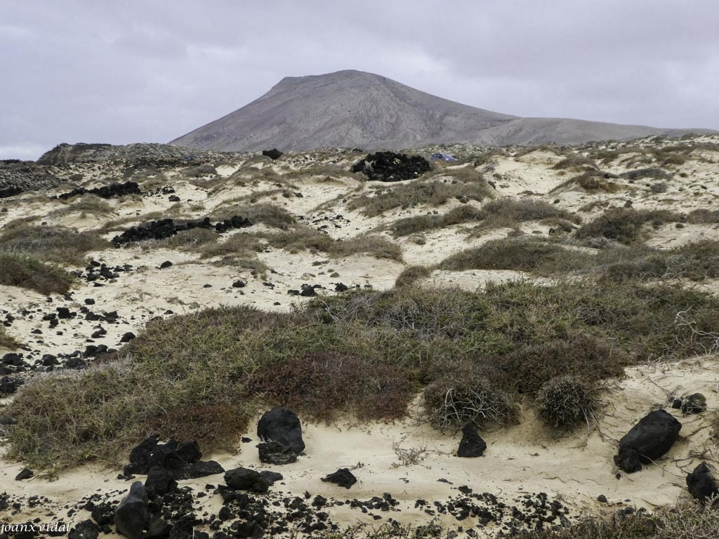 DUNAS DE CORRALEJO