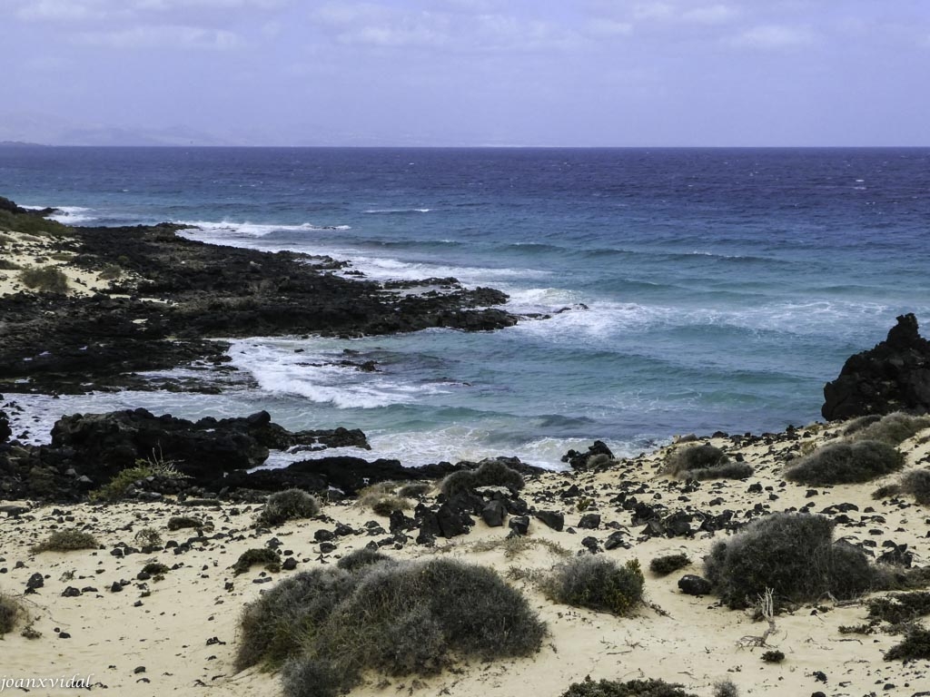 PLAYAS DE CORRALEJO