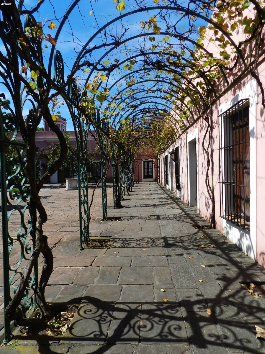 GALERA A LA SIESTA